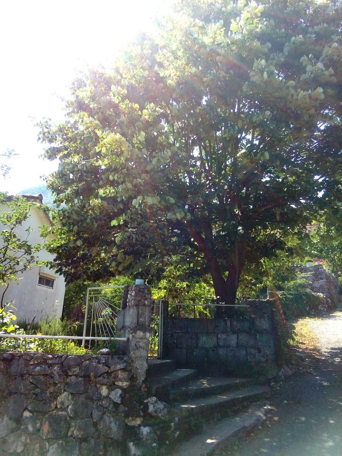 Country House "Lipa" Komarno Virpazar Exterior foto