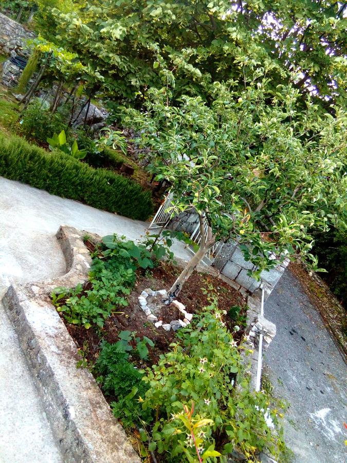 Country House "Lipa" Komarno Virpazar Exterior foto